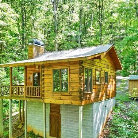 Open Studio Lodge At Little Rock Creek Cherry Log Экстерьер фото