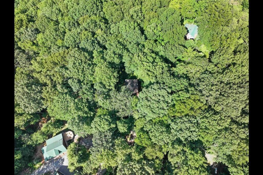 Open Studio Lodge At Little Rock Creek Cherry Log Экстерьер фото